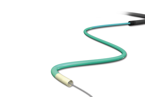 GUIDEPLUS™Ⅱ（guide extension catheter）_Image